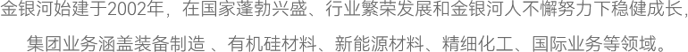 金银河始建于2002年，在国家蓬勃兴盛、行业繁荣发展和金银河人不懈努力下稳健成长，
集团业务涵盖装备制造 、有机硅材料、新能源材料、精细化工、国际业务等领域。